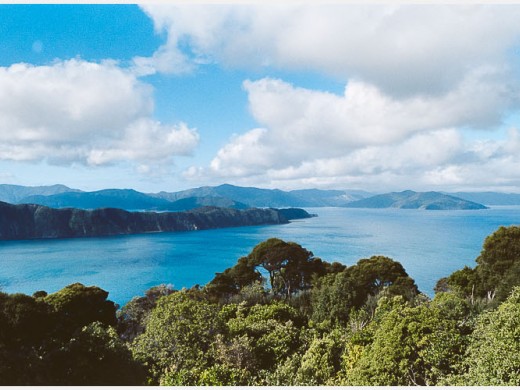 Cook Strait, Marlborough Sounds, Queen Charlotte Sound, seen from Motuara Island, on January 30, 1790, James Cook raises the British flag on Motuara Island, takes possession of the southern islands for the English Crown and King George II.